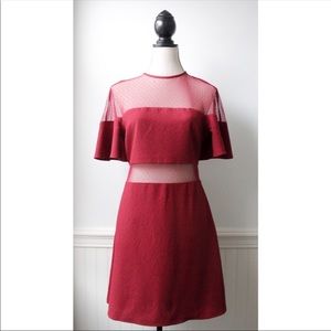 Wine Red 🍷 Express Dress